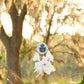 SatinSays: Blessed Dream Catchers